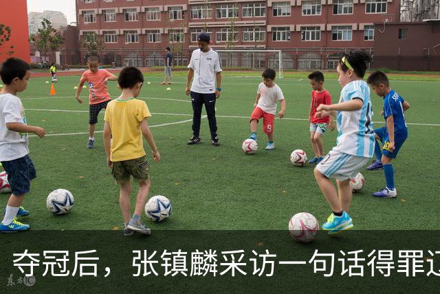 夺冠后，张镇麟采访一句话得罪辽宁，辽蜜：有本事到四川证明价值